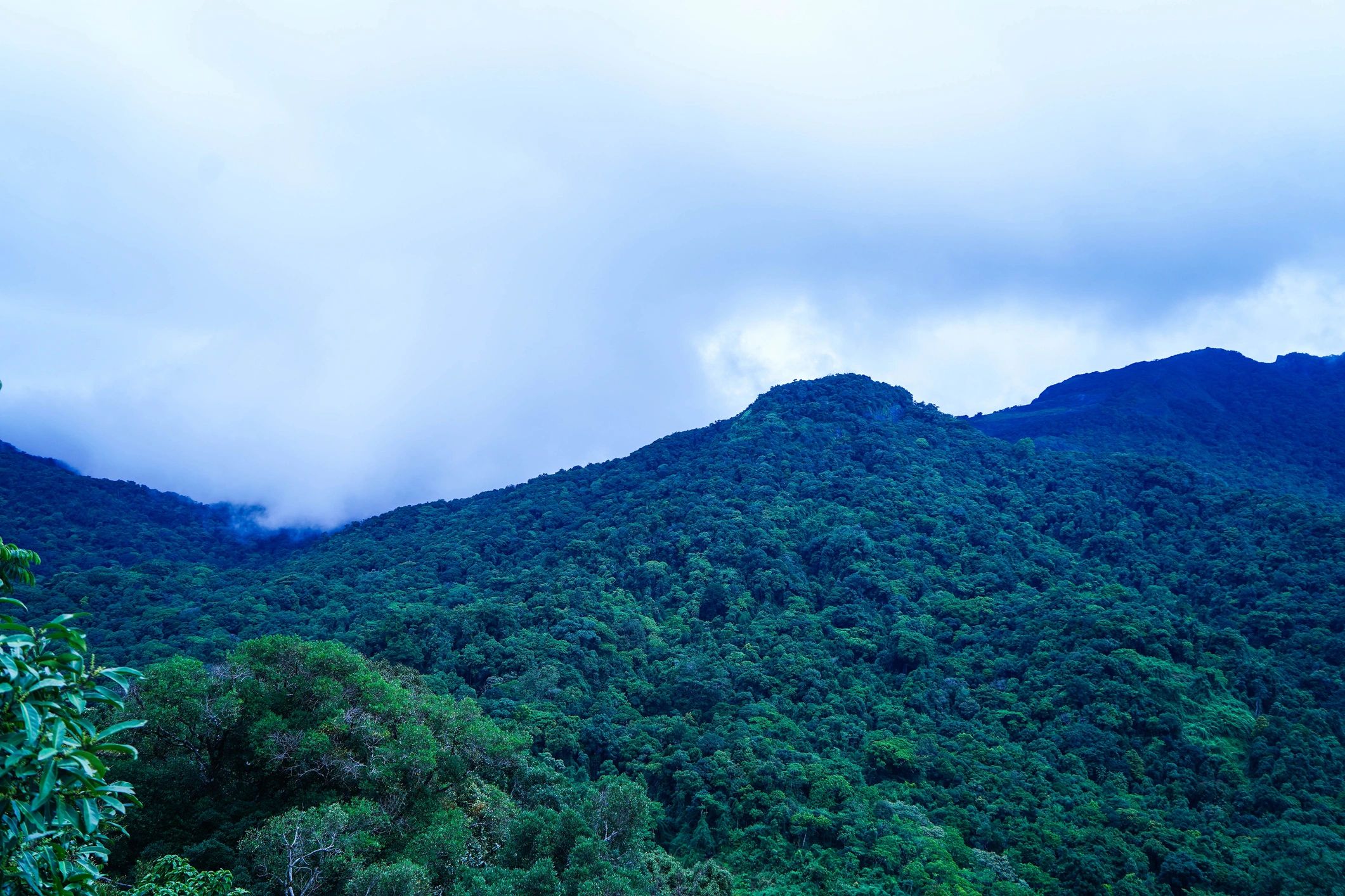Scenic Kerala hills landscape for travel and taxi services