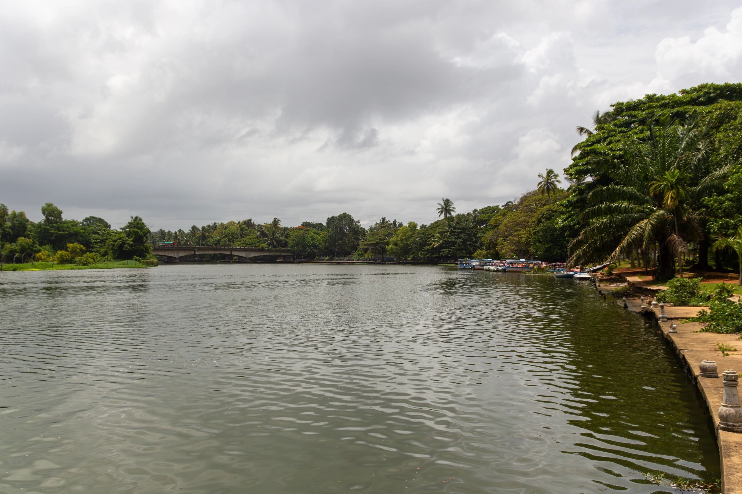 Kerala backwaters view with dock and palm-lined shore
