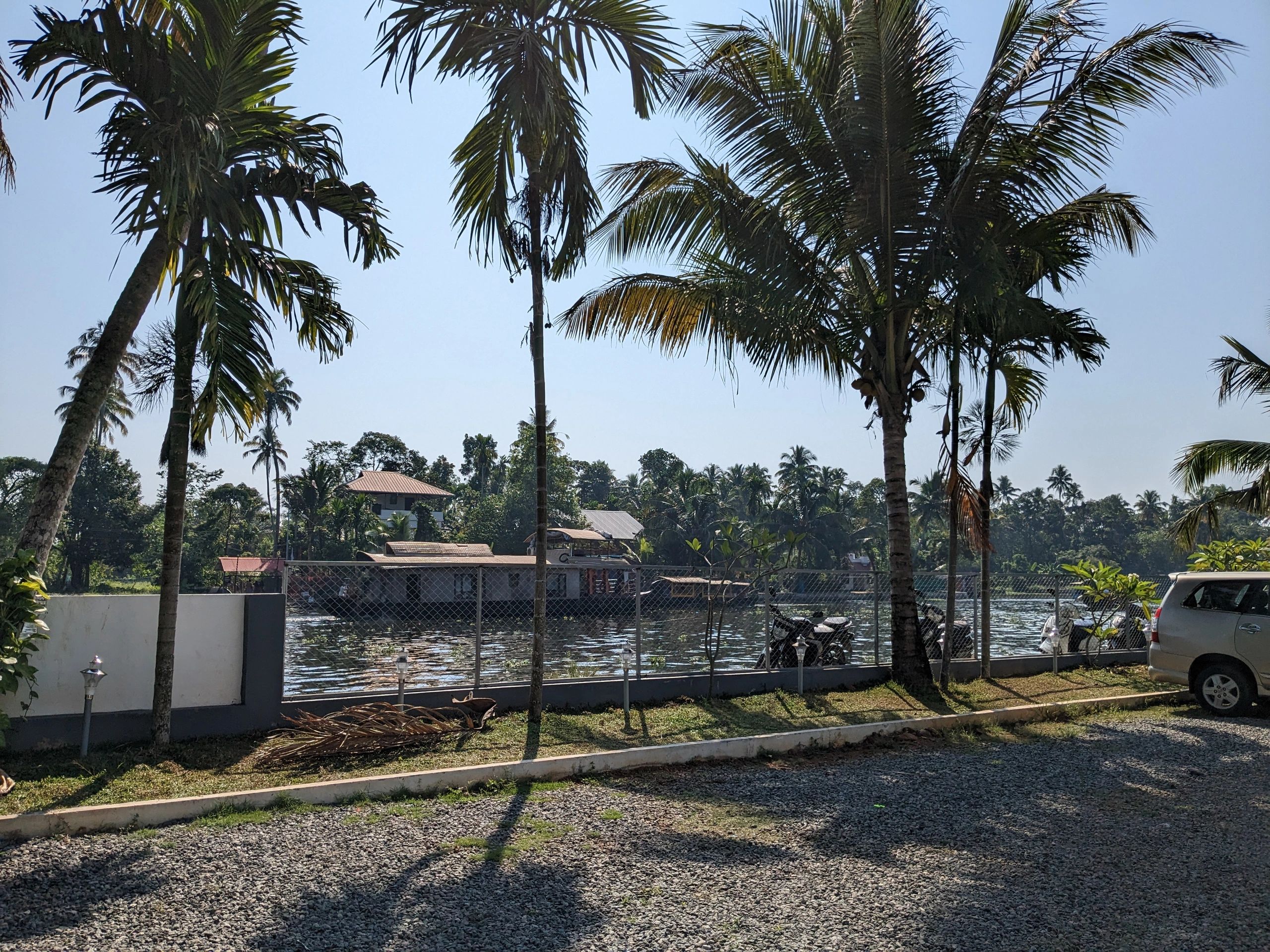 Tropical shoreline with calm water and palm trees